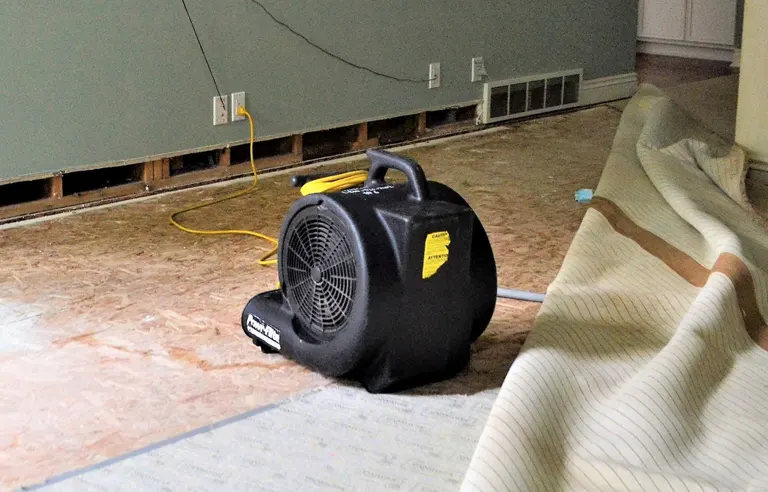 Dehumidification After Wet Carpet Drying