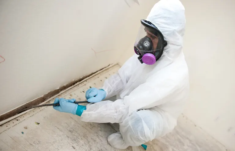 Mould Remediation - Structural Drying