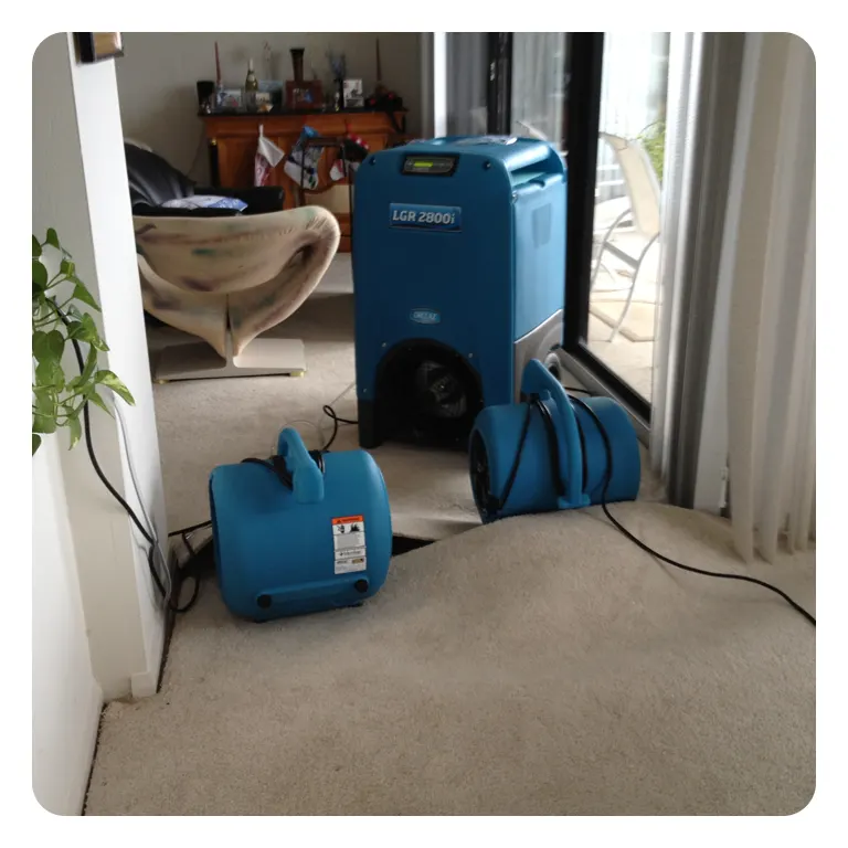 Wet Carpet Drying Services