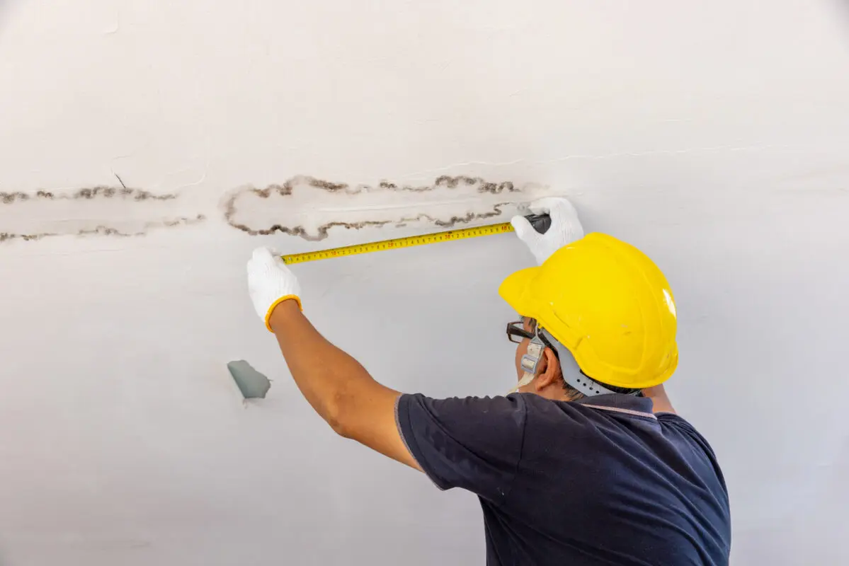 Residential & commericial leak detection services handling basement leak repair and cleanup in Victoria
