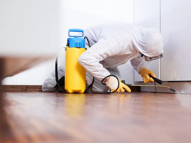 Mould testing services in Melbourne identifying hidden mould