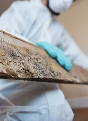 Technicians removing contaminated materials from a Melbourne property