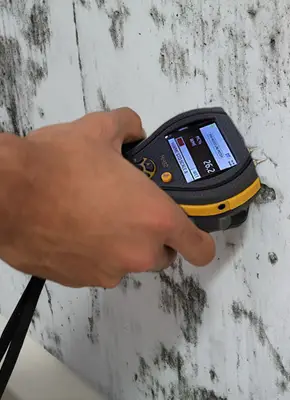 Technician using moisture meter on a damp, mouldy wall