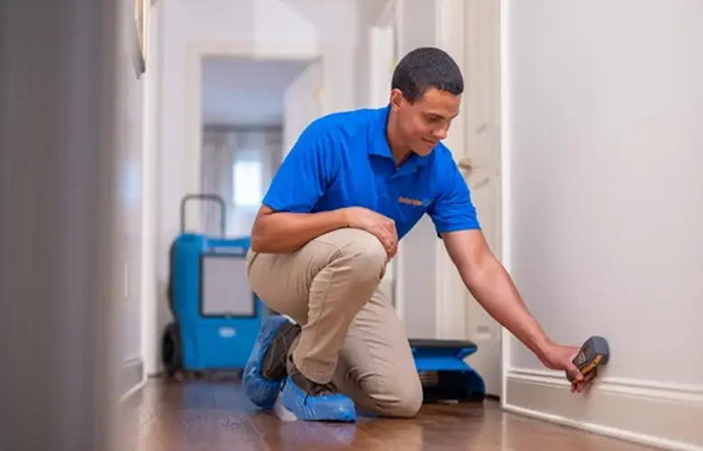Technician using a moisture meter to inspect damp walls in a Melbourne property