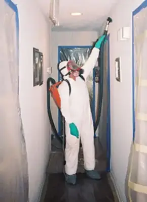 Technician performing mould removal from ceiling in affected building