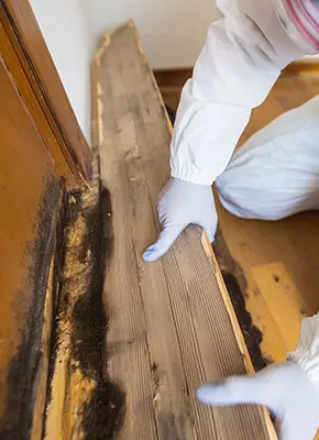 Damaged flooring being removed due to mould infestation in Melbourne home