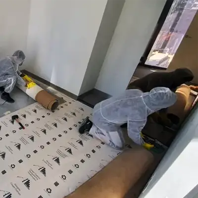 Safe disposal of mould-contaminated waste by professionals in Melbourne