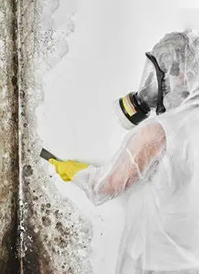 Specialist cleaning mould from a residential wall in Melbourne