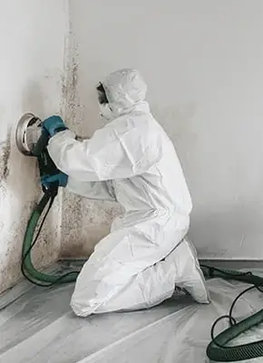 Specialist cleaning visible mould on interior wall in a residential home
