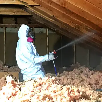 Professional mould removal service in Victoria by certified technicians