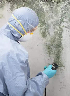 Technician performing mould testing with swab on wall before removal