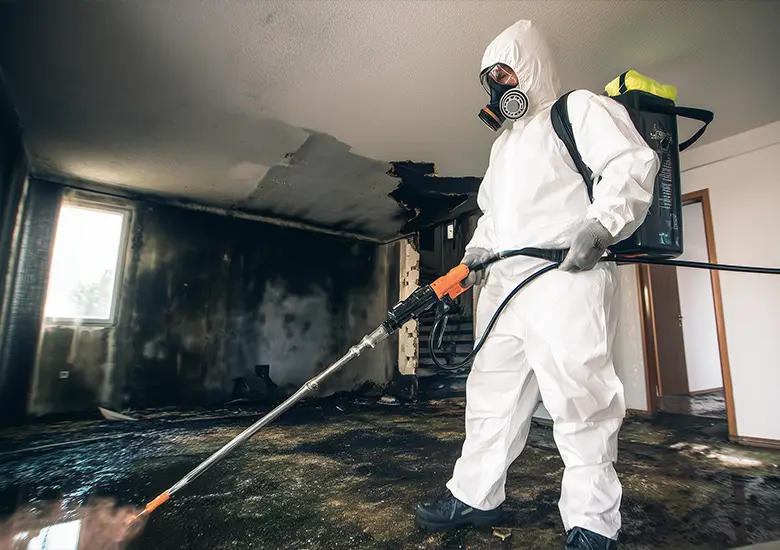 Technician using air scrubber for odour removal and air purification