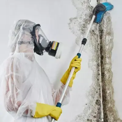 Certified technician performing mould remediation in a Melbourne property