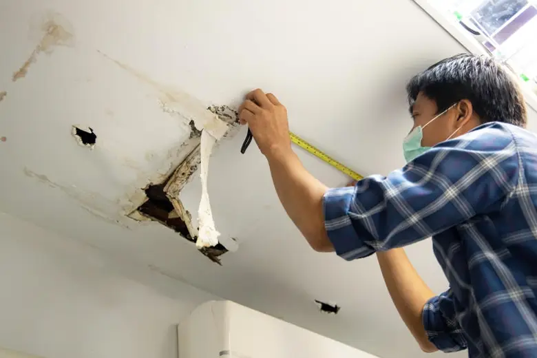 Technician performing emergency water leak repairs and moisture control in a Melbourne home