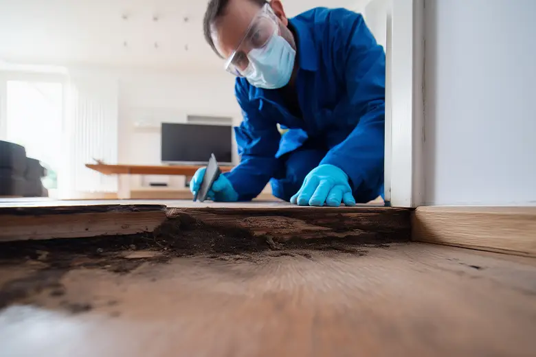 Technician in protective gear safely removing mould-contaminated material