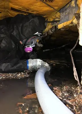 Victoria Hygiene team performing professional sewage cleanup and sanitisation in a Melbourne property