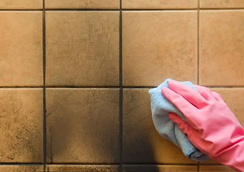 Technician cleaning upholstery and hard surfaces to remove stains and contaminants