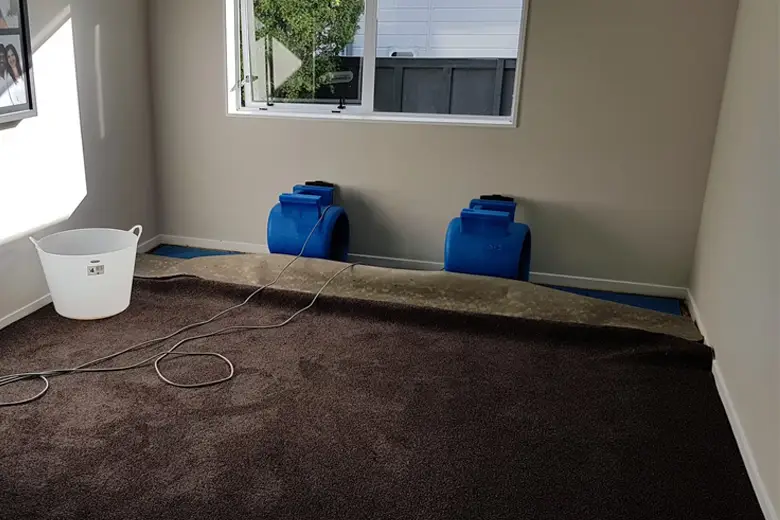 Industrial dehumidifiers and air movers drying wet carpet in a Melbourne residential property