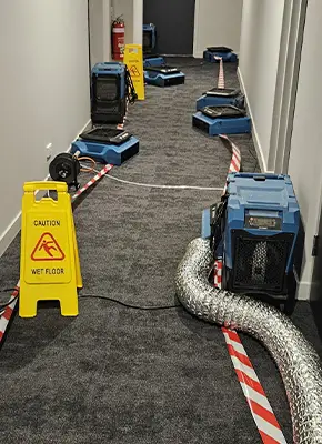 Certified technician using industrial drying equipment on a soaked carpet in a Melbourne home