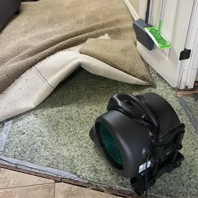 Technician carefully drying a premium carpet after water damage in a Melbourne residence