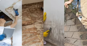 Specific Location of Water Intrusion