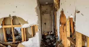 Severity and Extent of the Damage