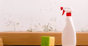 Black mould removal method