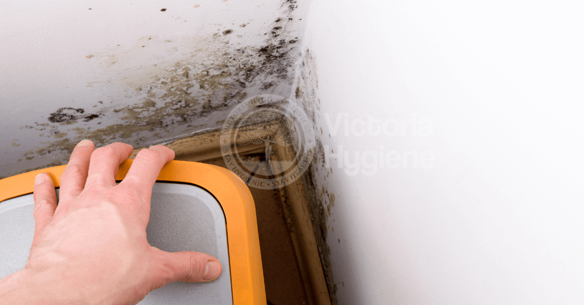 Water Damage