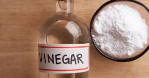 Does vinegar kill mould?