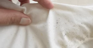How to get mould out of clothes?