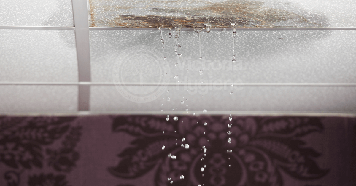 Hidden Water Leak