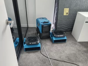 Air mover and dehumidifier setup drying a wet carpet in a water affected room in Melbourne.