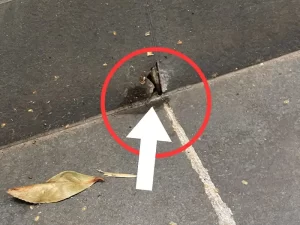 Structural Damage Due to Water
