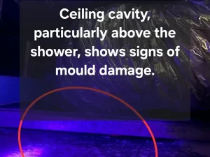 Ceiling cavity above a shower showing visible mould growth and moisture damage inside a Melbourne property.