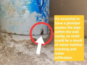 Visible structural crack allowing water infiltration, leading to interior wall damage in a Melbourne property.