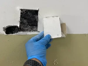 Section of mould-affected plaster wall cut out in a Melbourne apartment during professional remediation by Victoria Hygiene.