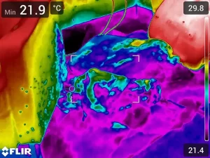 Thermal imaging scan revealing hidden water intrusion across a bathroom floor and walls after flooding, conducted by Victoria Hygiene in Melbourne.