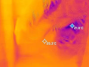 FLIR thermal scan showing hidden water leak behind a wall during a professional moisture inspection by Victoria Hygiene in Melbourne.