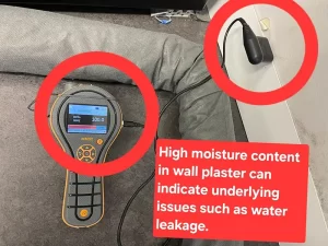 Moisture meter showing high moisture content in a damp plaster wall inside a Melbourne property.