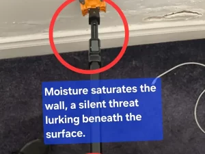 Moisture meter indicating high moisture content within an interior wall of a Melbourne property.