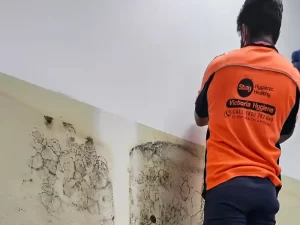Technician performing mould remediation in a Melbourne property using industry approved safety procedures.