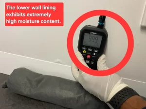 Moisture meter reading taken from the lower wall lining of a water damaged apartment in Melbourne.