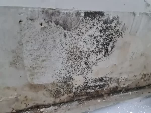 Mould growth due to water damage