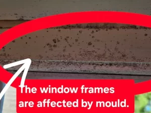 Window frame showing visible mould growth due to moisture damage in a Melbourne property.