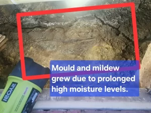 Mould growth in the subfloor of a Melbourne property caused by prolonged moisture exposure