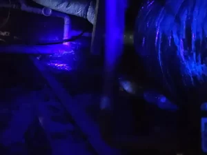 Infrared imaging revealing mould growth in the subfloor area of a Melbourne property.