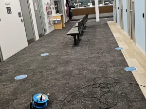Technician preparing a water damaged carpet for drying and restoration in a Melbourne property.