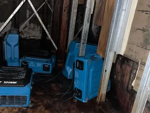 Structural and timber drying in progress at a flooded house in Melbourne using professional restoration equipment.