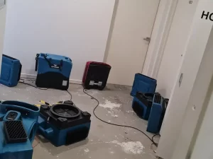 Structural drying process underway in a flooded lobby after removal of wet carpet in a Melbourne commercial building.