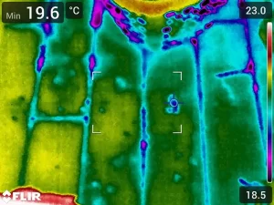 Thermal imaging scan detecting damp areas in a wooden floor inside a Melbourne property affected by moisture.